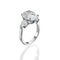 Exclusive Ring - Oval Cut Diamond